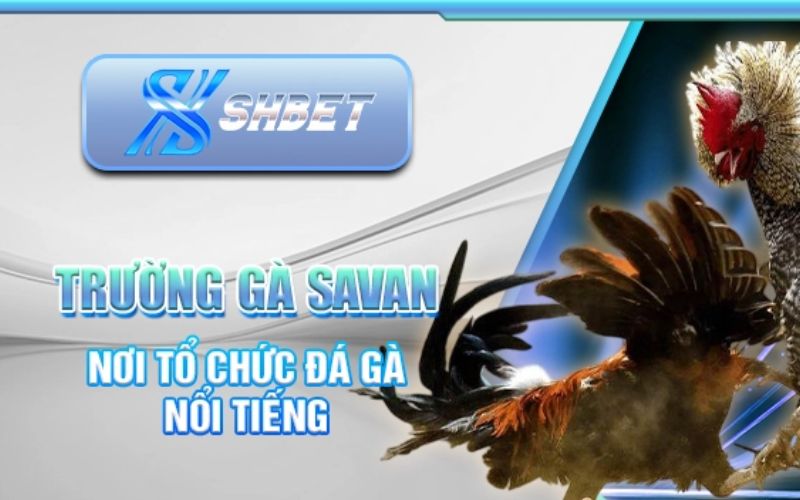 Nạp tiền vào tài khoản